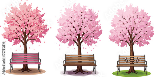 Three beautiful cherry blossom trees with pink flowers, wooden benches, spring season, peaceful park scene, nature, relaxation, outdoor seating, floral bloom, serene environment