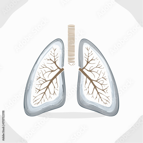 Human lungs displaying respiratory system anatomy on white backdrop, showcasing health and medical science, with detailed bronchial tree structure.