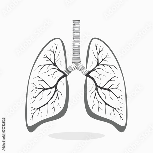 Human lungs depicted with intricate branching structures on a clean white backdrop, representing respiratory health and anatomical detail with a modern aesthetic.