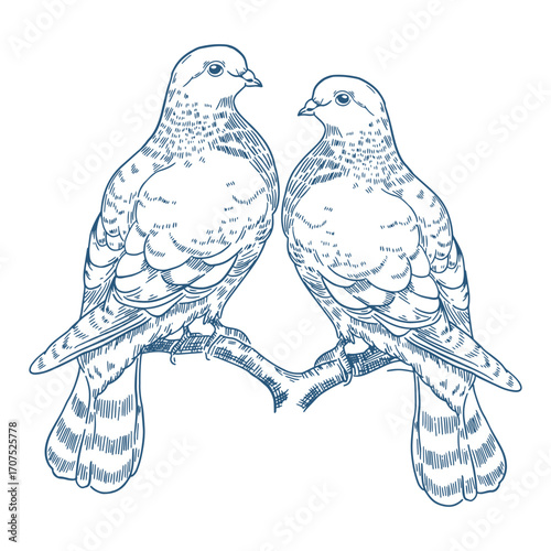 Toile de Jouy inspired wedding pigeons illustration. Wedding hand dawn ceremony icon. Elegant line art minimalist venue sketch. Elements for wedding, monogram, invitation, greeting, birthday card.
