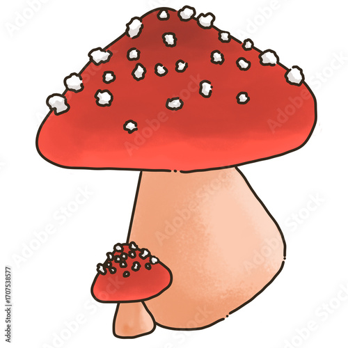 Red fly agaric mushroom big and small