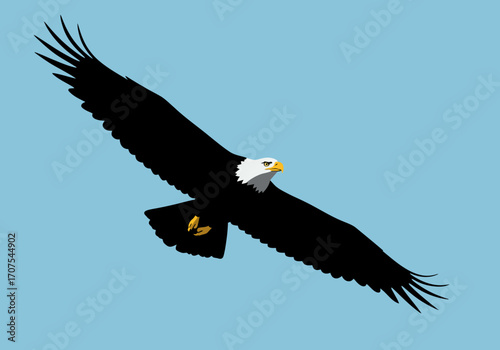 Eagle soars against a light blue background its wings spread wide