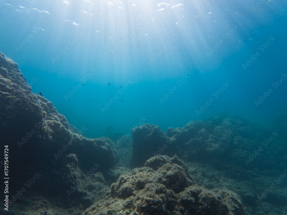Obraz premium Serene underwater landscape with sun rays filtering through clear blue water to illuminate a rocky ocean floor and reef.