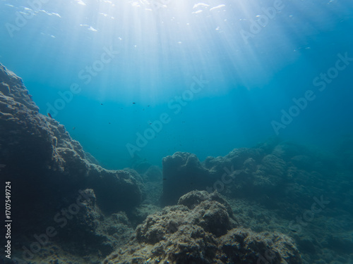 Serene underwater landscape with sun rays filtering through clear blue water to illuminate a rocky ocean floor and reef.