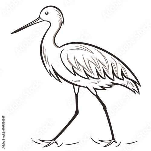 Vector art of a charming line art illustration of a heron gracefully walking, , showcasing its elegant form and long beak in a minimalist design, perfect for nature themes