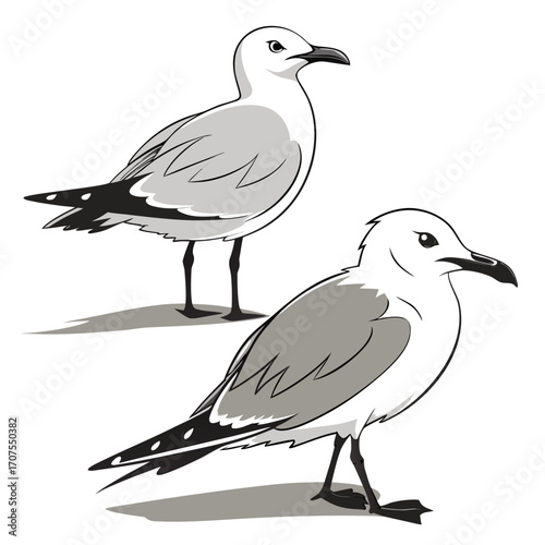 Vector art of a delightful line art illustration of two seagulls perched, , capturing their coastal charm and playful nature in a simple yet elegant design, perfect for seaside themes