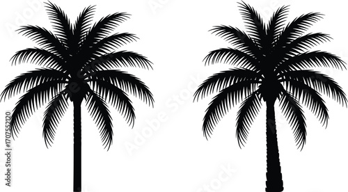 Black Silhouette of Palm Trees, Tropical Palm Plant Vector, Nature and Island Design, Exotic Tree Artwork