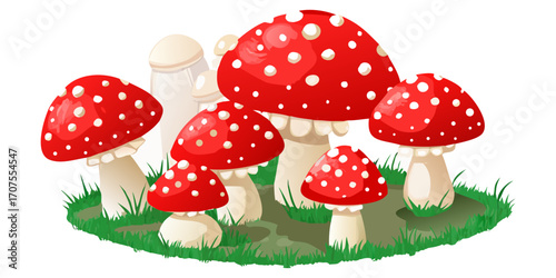 A collection of realistic Amanita muscaria mushrooms growing in a natural forest setting. The mushrooms have bright red caps with distinctive white spots and thick white stems. Some are fully grown wh