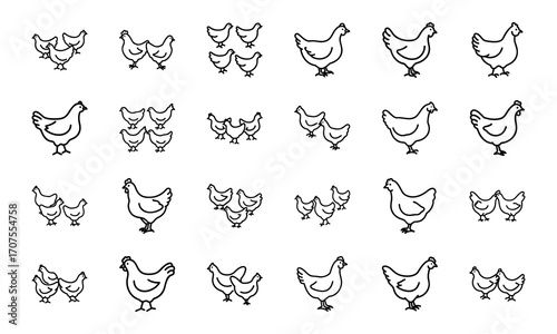 Set of Simple Bird Line Drawings – Black and White Outline Illustrations of Chickens, Ducks, Flamingos, Pigeons, and Farm Birds