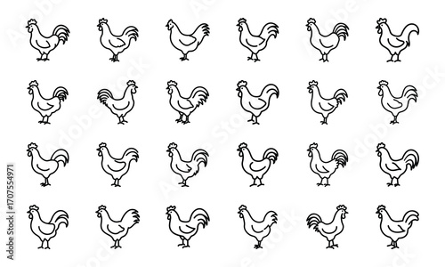 Set of Simple Bird Line Drawings – Black and White Outline Illustrations of Chickens, Ducks, Flamingos, Pigeons, and Farm Birds