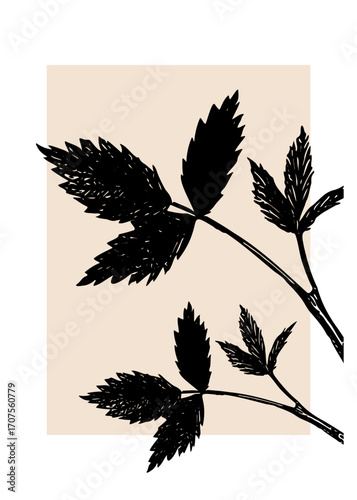 Virginia creeper leaf silhouette on beige background for floral wallpaper or poster. Perfect for printable artwork, branding, packaging, invitations, stationery, and botanical design projects.