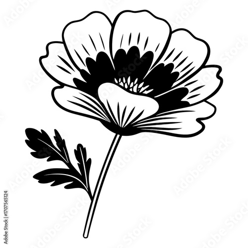Minimilist a black and white drawing of a flower with detailed petals and leaves on a long stem illustration art vector