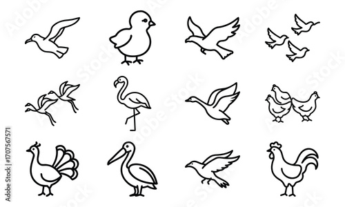 Set of Simple Bird Line Drawings – Black and White Outline Illustrations of Chickens, Ducks, Flamingos, Pigeons, and Farm Birds