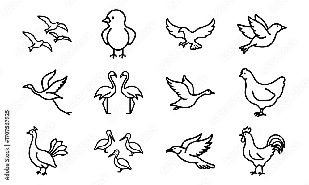 Fototapeta premium Set of Simple Bird Line Drawings – Black and White Outline Illustrations of Chickens, Ducks, Flamingos, Pigeons, and Farm Birds