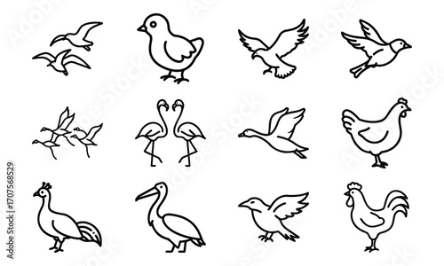 Set of Simple Bird Line Drawings – Black and White Outline Illustrations of Chickens, Ducks, Flamingos, Pigeons, and Farm Birds
