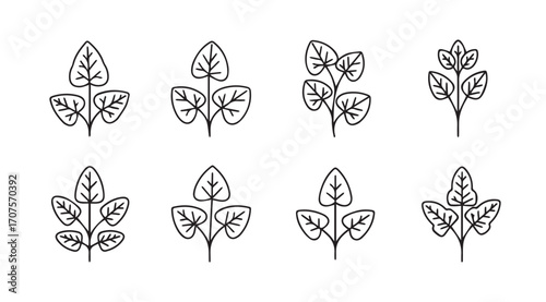 Collection of hand drawn botanical leafy branch silhouettes in a sketchy style