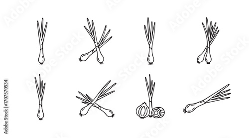 Collection of hand drawn wheat stalks and lemongrass stalks silhouette