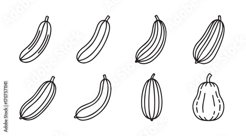 Collection of hand drawn outline squash and zucchini vegetable silhouettes