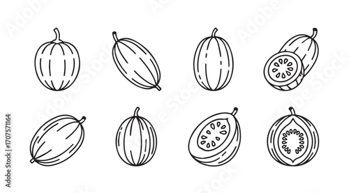 Collection of hand drawn papaya and cucumber silhouettes with detailed line art