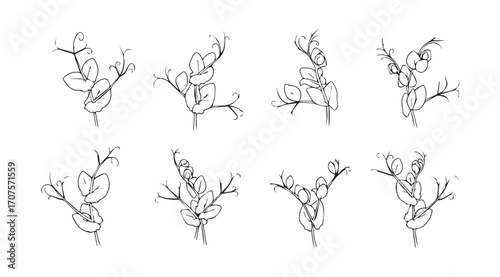 Collection of delicate botanical branch silhouettes with intricate details