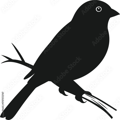 --a-black-and-white-illustration-of-a-sparrow--chi copy.eps
