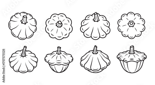Collection of various autumn squash and pumpkin varieties silhouette