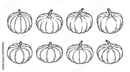 Collection of eight detailed pumpkin illustrations in a classic silhouette style