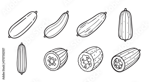 Collection of various cucumber illustrations in a distinctive silhouette style