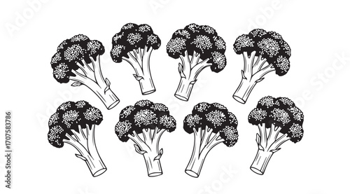 A group of broccoli florets arranged in a circular pattern silhouette