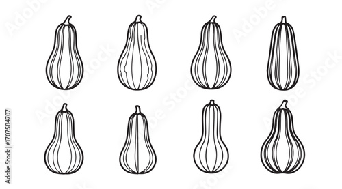 Collection of butternut squash silhouettes in a hand drawn style