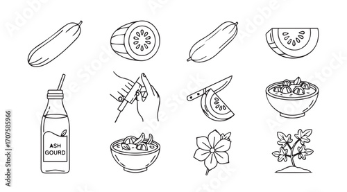 Collection of hand drawn vegetable and food ingredient silhouettes