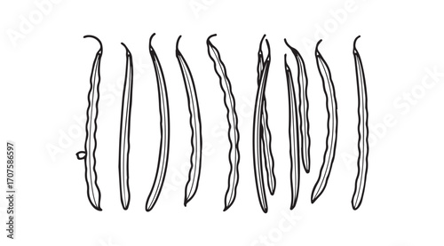 Collection of hand drawn green bean pods in a stylized silhouette silhouette