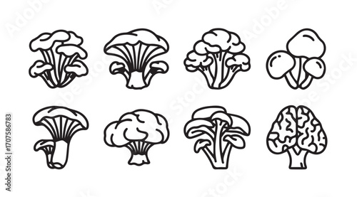 Collection of various mushroom types in a simple line drawing silhouette style