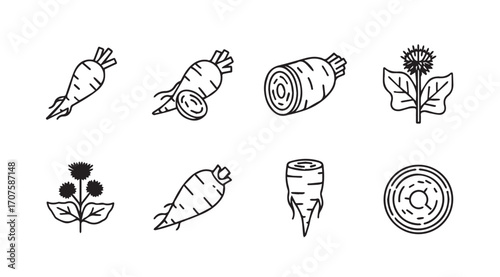 Collection of root vegetable and flower silhouettes in a simple line art style