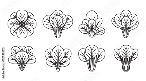 Collection of eight stylized leaf or plant silhouettes in a symmetrical arrangement silhouette