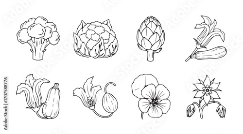 Collection of hand drawn vegetable silhouettes in a sketchy artistic style