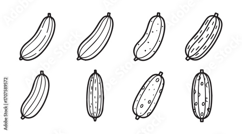 Collection of hand drawn cucumber silhouettes with varying details and styles
