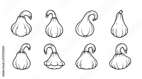 Collection of eight unique gourds in a charming hand drawn silhouette style
