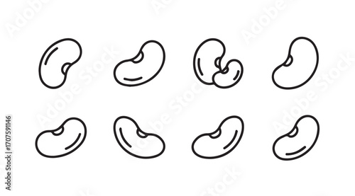 Collection of hand drawn kidney bean silhouettes in outline style