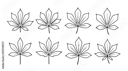 Collection of chestnut leaf outlines in a distinctive silhouette style