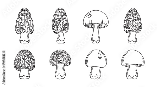 Collection of morel and common mushroom silhouettes in black and white outline