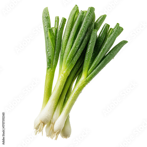 Fresh green onions, wet with water droplets