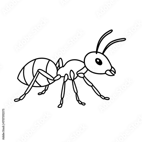 Ant Line Art Vector Illustration

 

 
