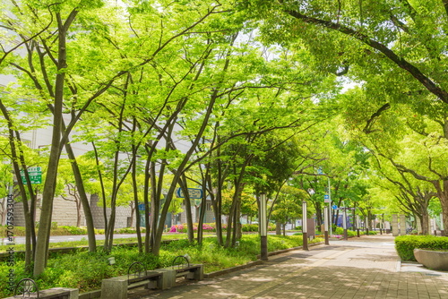 新緑の東遊園地　神戸市中央区にて