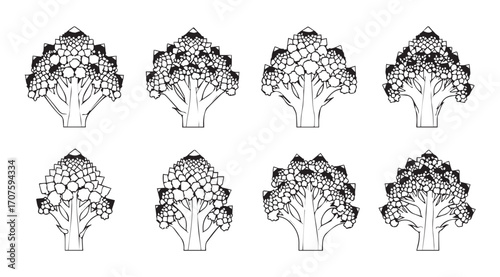 Collection of eight detailed broccoli florets silhouette illustrations