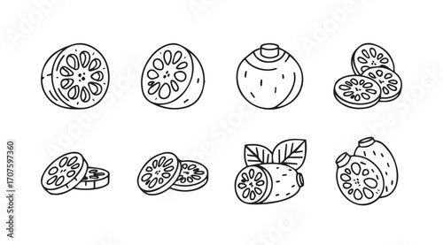 Collection of hand drawn lotus root slices and whole roots silhouette