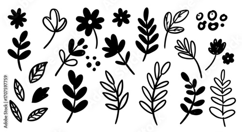 Elegant hand-drawn botanical elements and floral motifs for creative projects