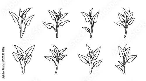Collection of delicate hand drawn botanical plant stems silhouette