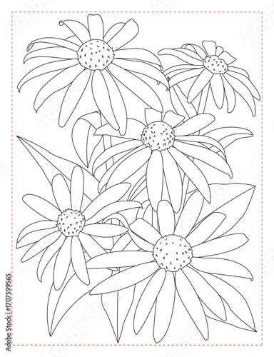 Black-Eyed Susan Coloring Page: Cheerful Floral Line Art for Relaxation