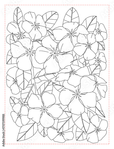 Periwinkle Flower Coloring Page: Simple and Charming Ground Cover